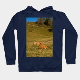 Italian Alpine Cows Hoodie